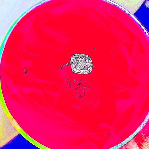 ❤️New Diamond White Gold Ring❣️ Size 7.  16 chocolate diamonds & white diamonds. - Picture 3 of 6